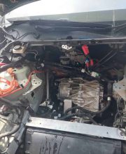 nadog-Tesla-service-01