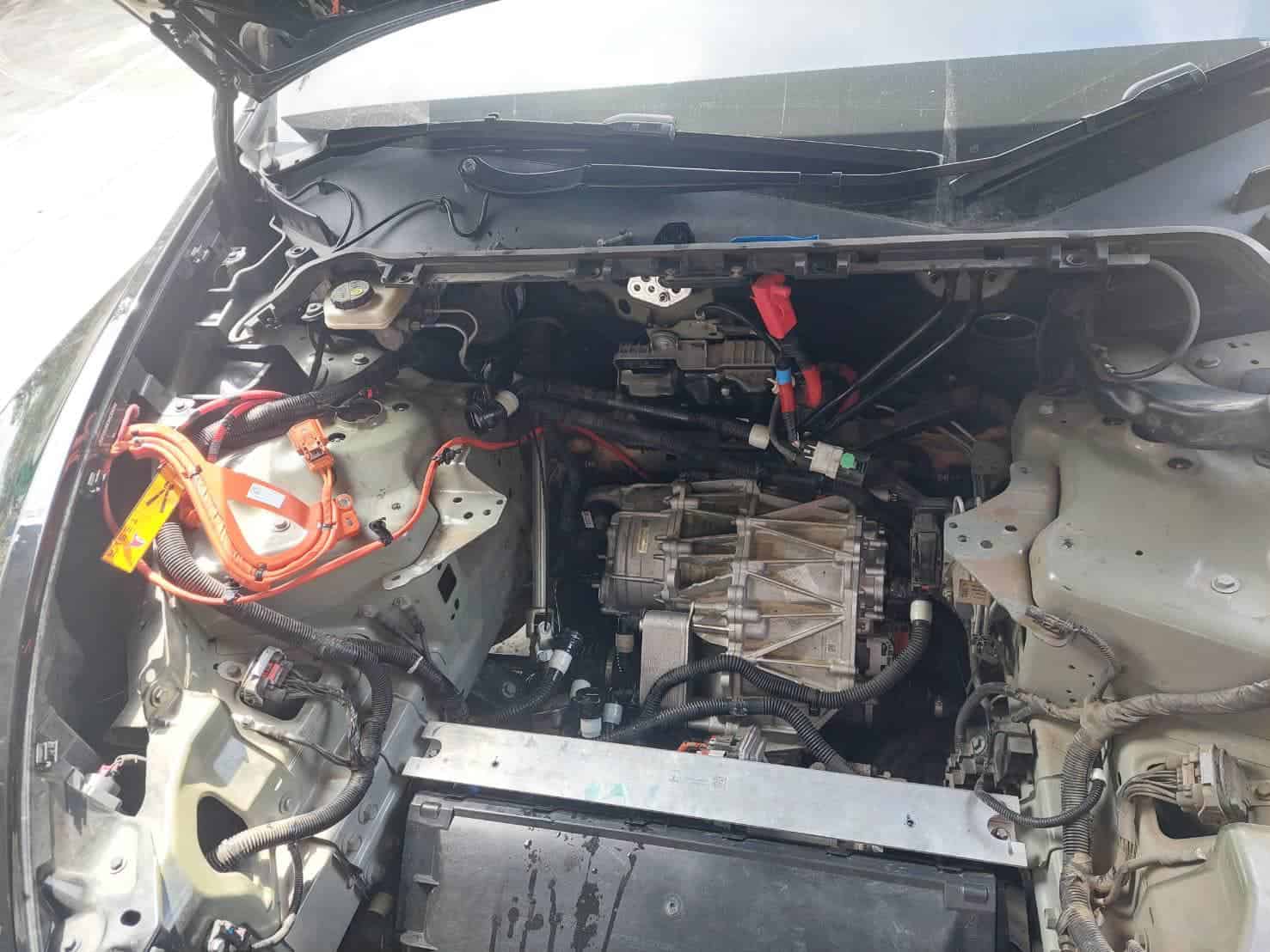 nadog-Tesla-service-01